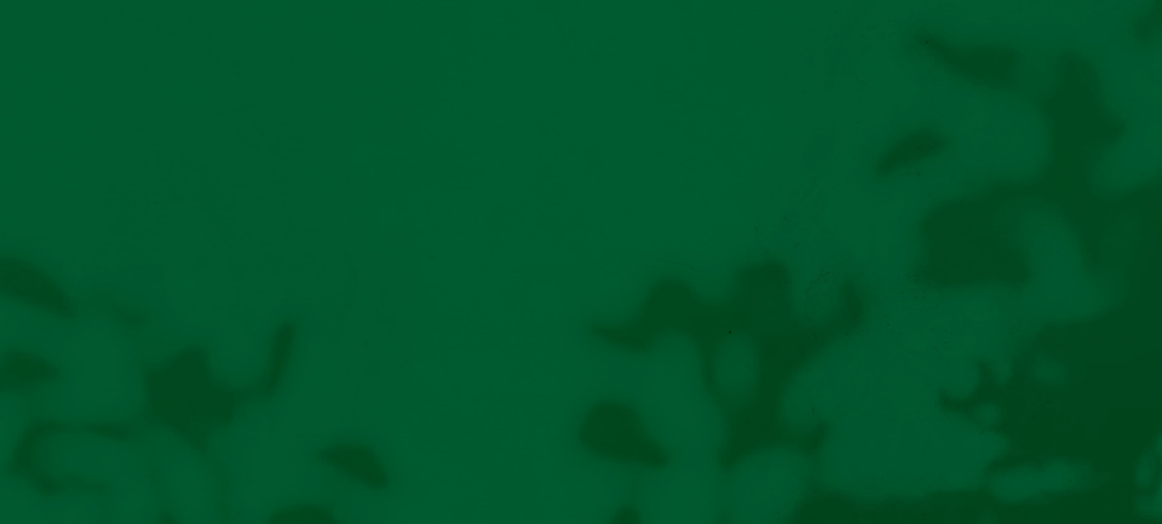 blog background