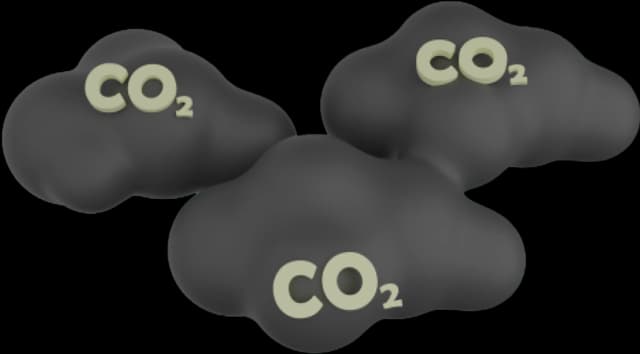 ECOLOGICAL CRISIS