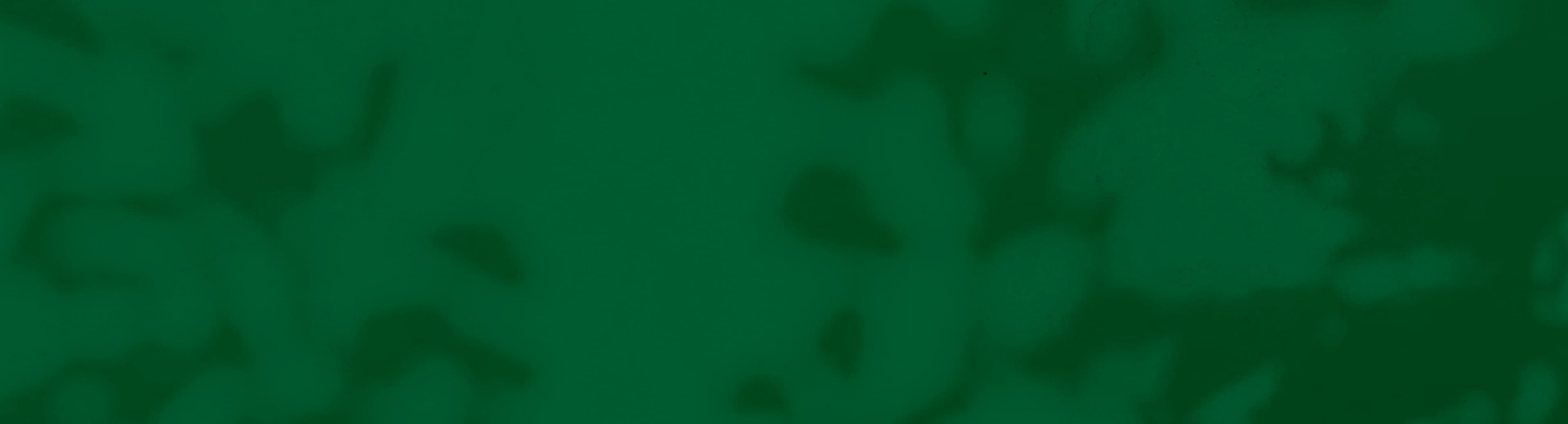 support background